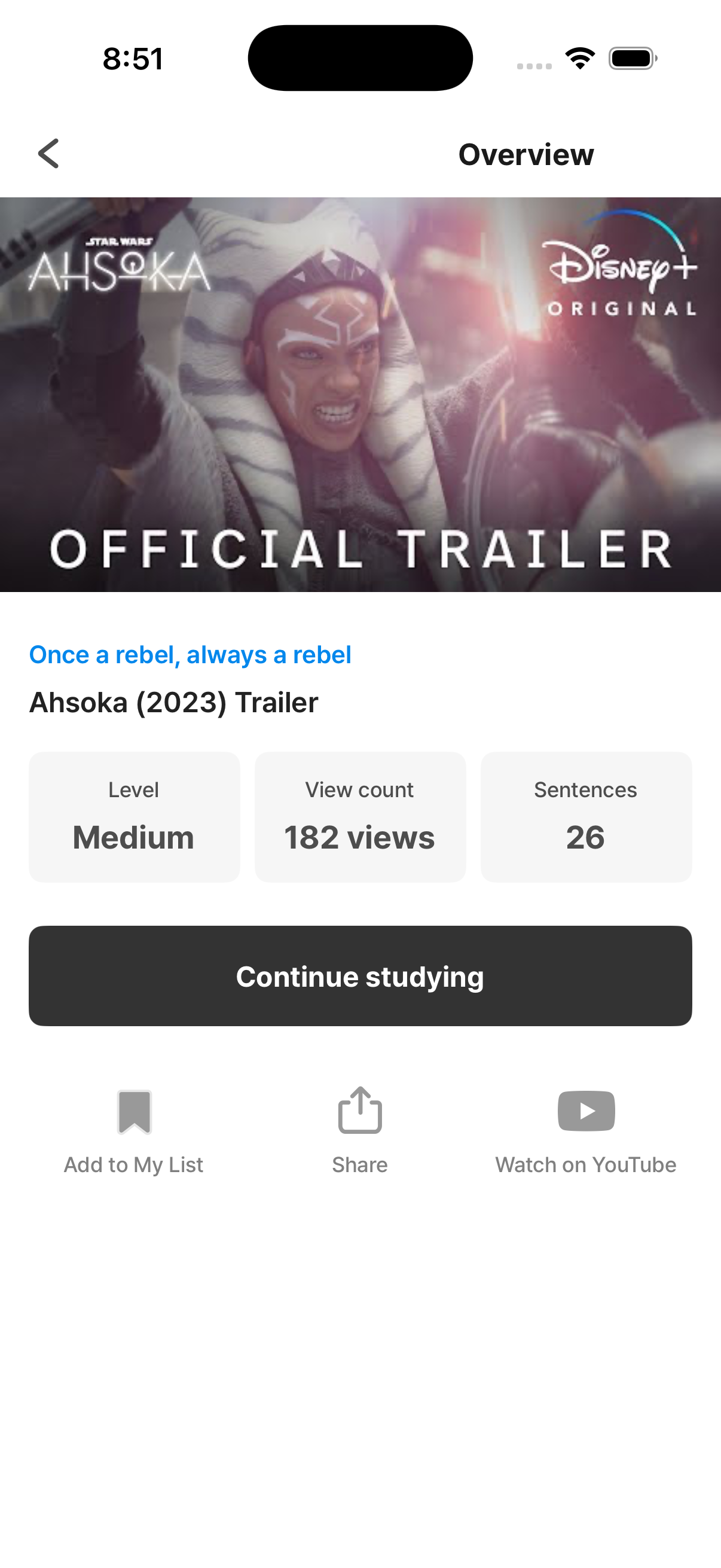Video overview — the screen you see right after opening a video